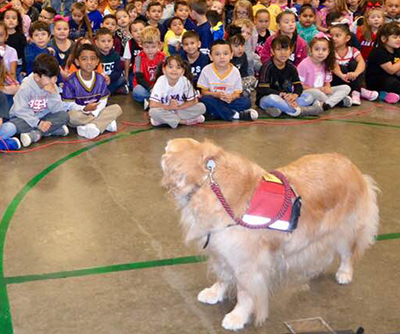 dog looking at cafeteria full of seated students
