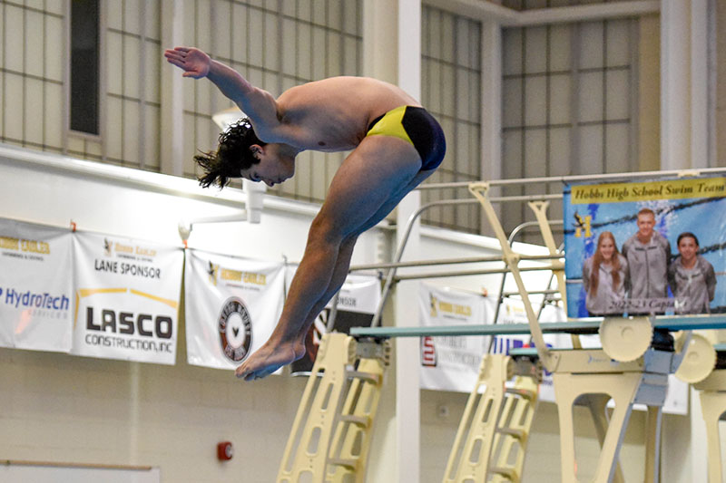 student performing dive